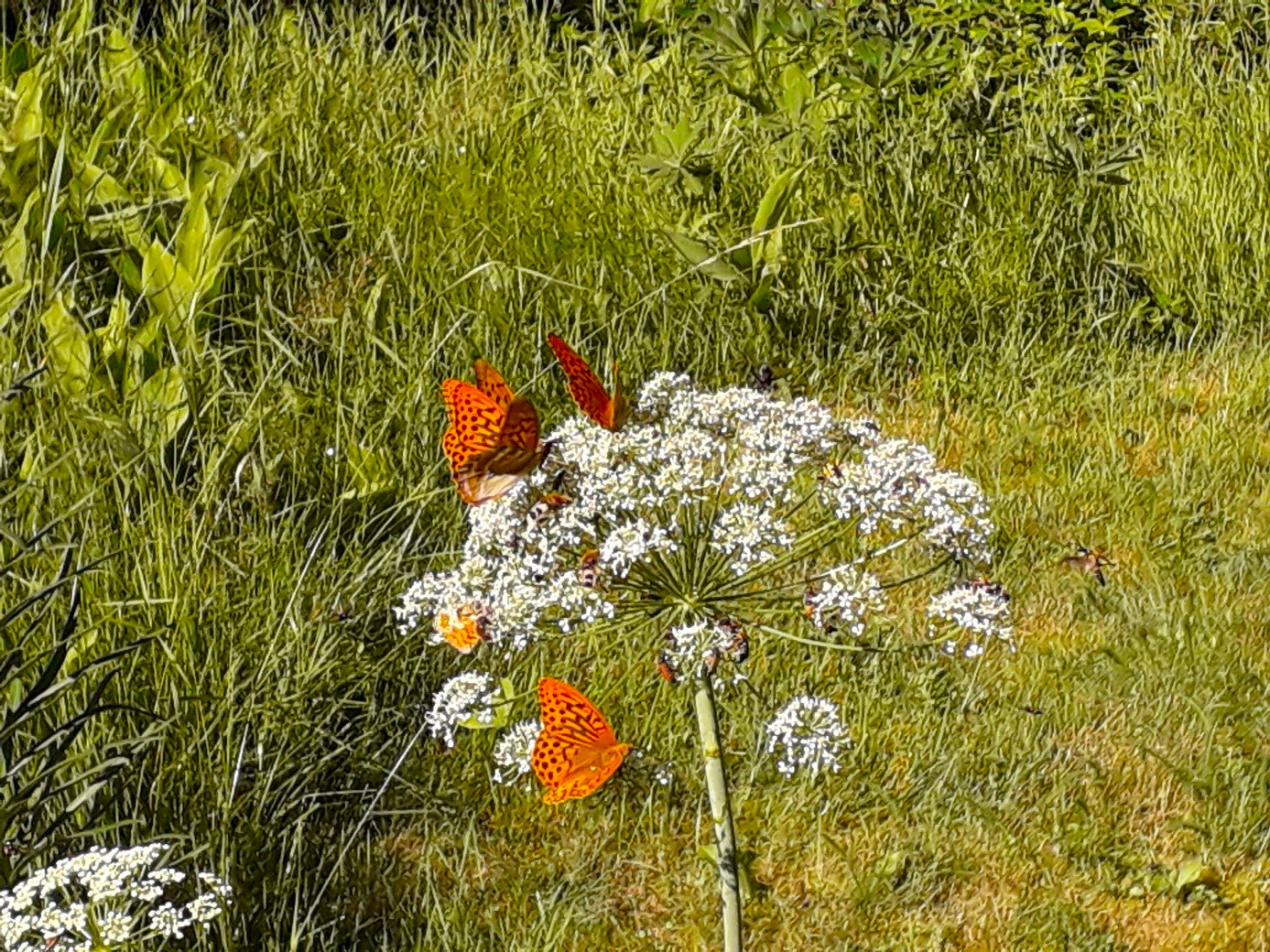 Arbeitsweise - Familientherapie