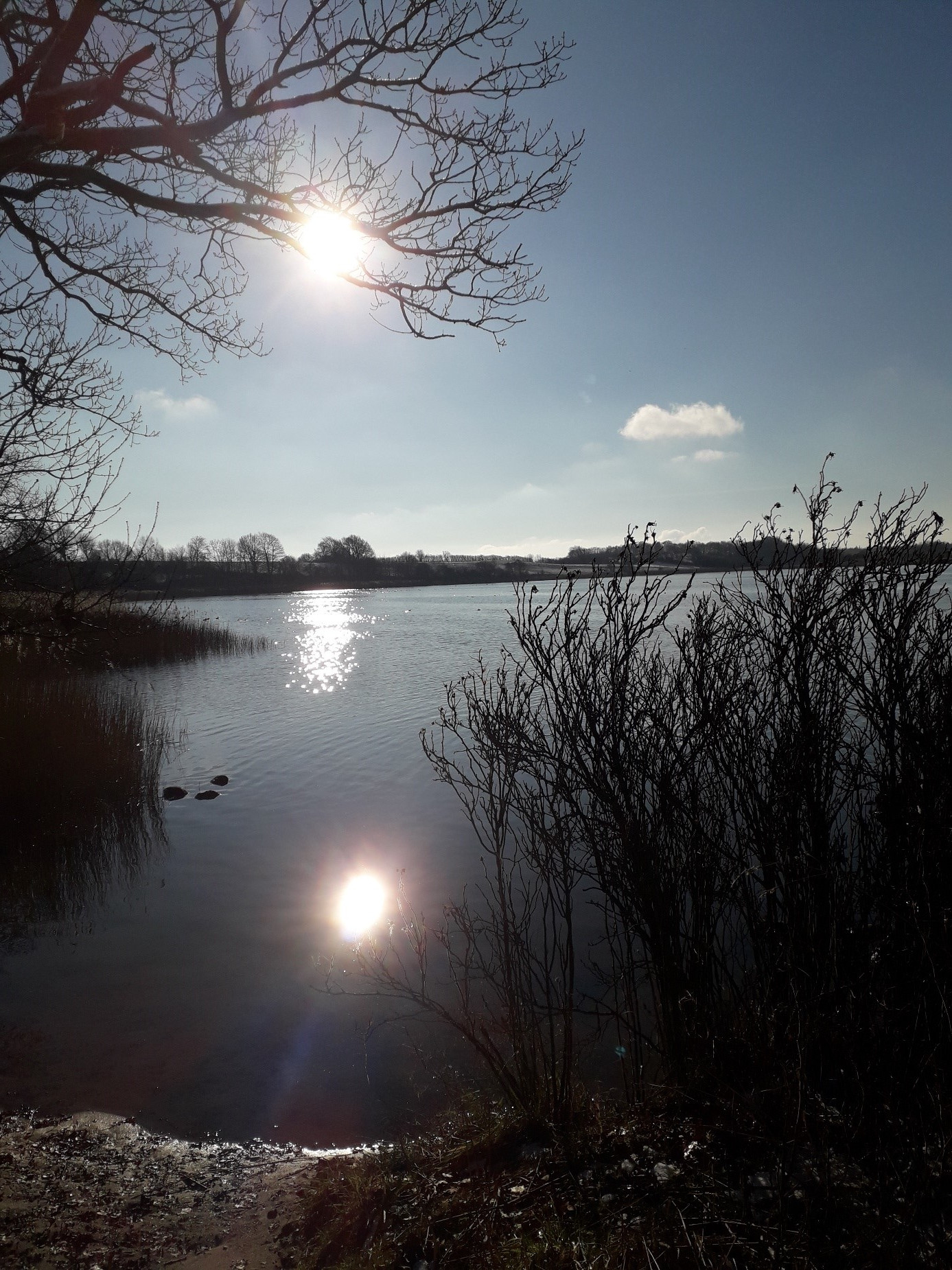 Arbeitsweise - Trauma